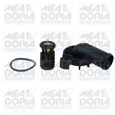 Thermostat, coolant